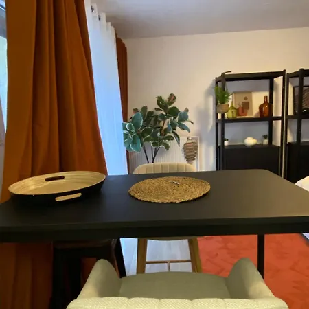 Nouveau ! Magnifique Douillet & Confort - Parking - Wifi - Netflix - Apartman Wissembourg