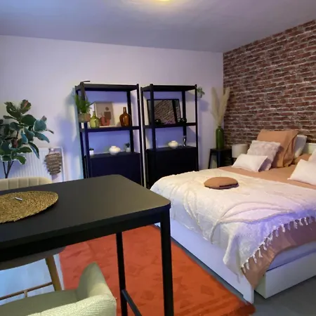 Nouveau ! Magnifique Douillet & Confort - Parking - Wifi - Netflix - Wissembourg