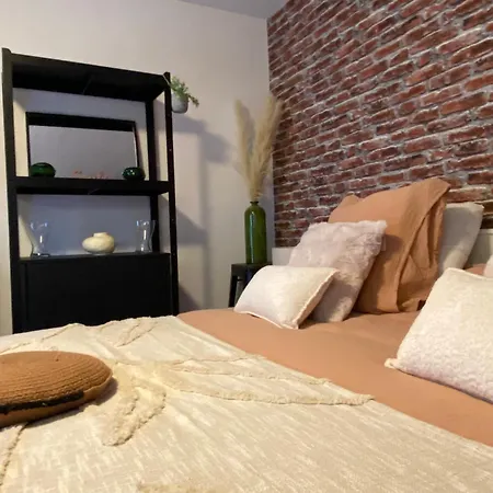 Apartman Nouveau ! Magnifique Douillet & Confort - Parking - Wifi - Netflix - *