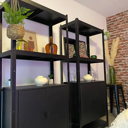 Nouveau ! Magnifique Douillet & Confort - Parking - Wifi - Netflix - Apartman Wissembourg
