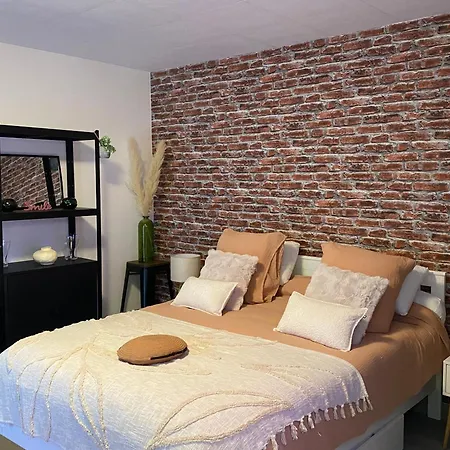 Apartman Nouveau ! Magnifique Douillet & Confort - Parking - Wifi - Netflix - *